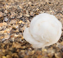 Load image into Gallery viewer, Organic Buckwheat &amp; Wool Filled Hybrid Pillow
