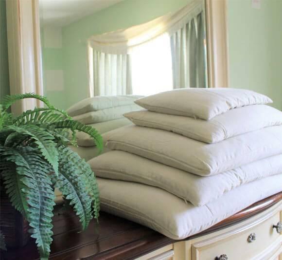 Organic Sobakawa Buckwheat Pillows